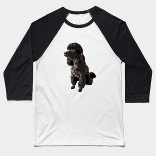 Poodle Mini Toy Black Beauty Baseball T-Shirt